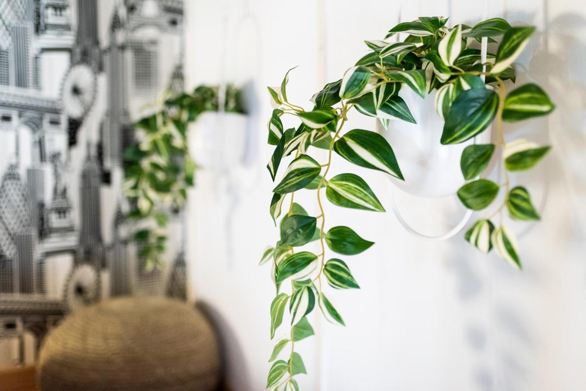 Apartamento Con Encanto, Centro Granada Eksteriør billede
