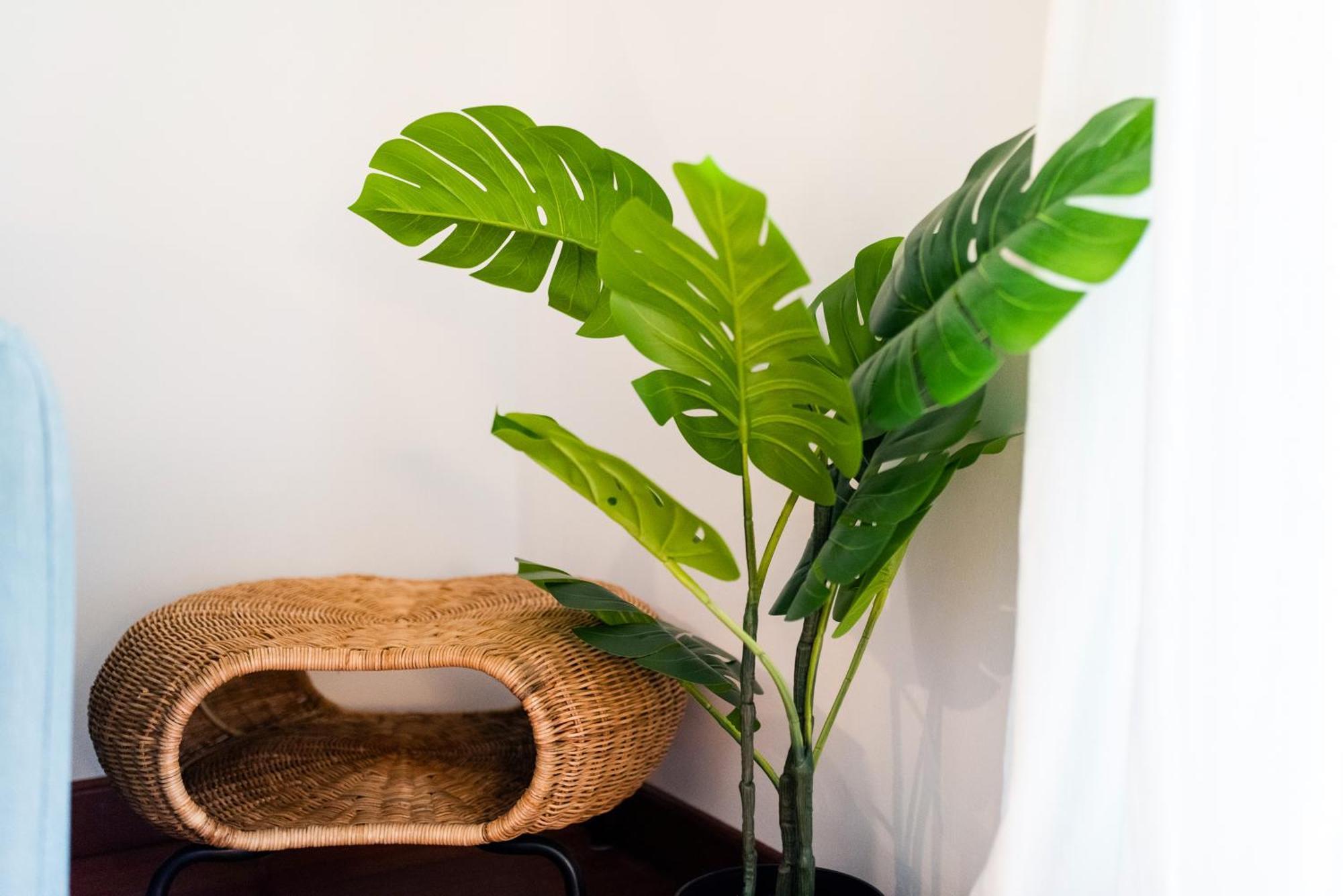 Apartamento Con Encanto, Centro Granada Eksteriør billede